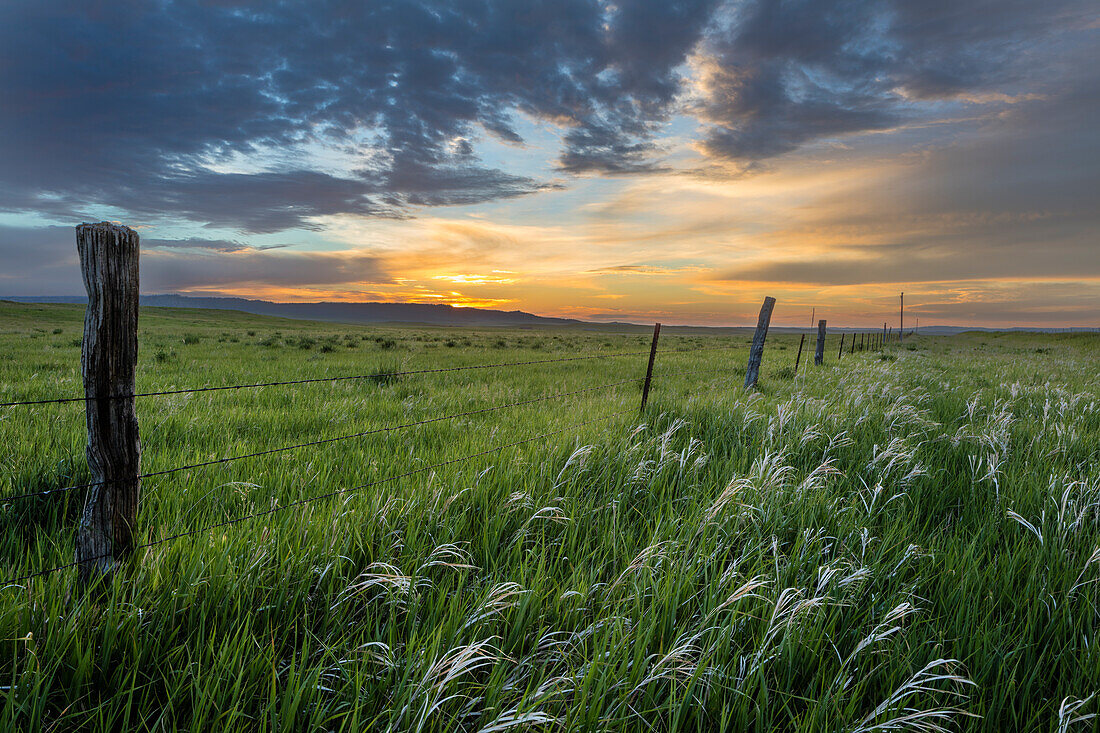 Strahlender Sonnenaufgang über Ranchland bei Ekalaka, Montana, USA (Großformat verfügbar)