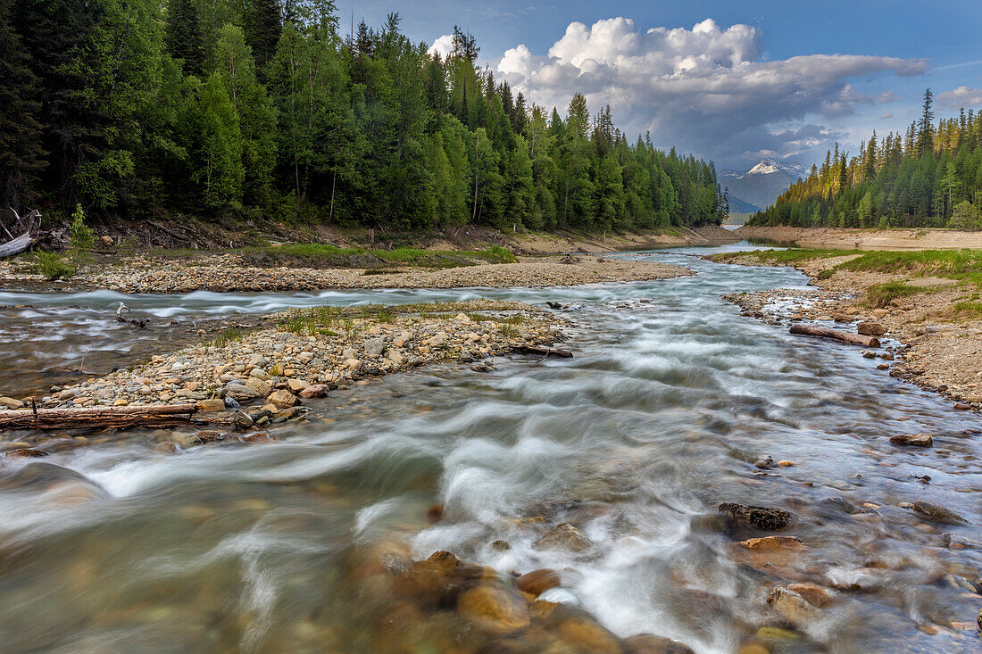 Der Doris Creek fließt in das Hungry Horse Reservoir mit der Flathead Range im Hintergrund im Flathead National Forest, Montana, USA (Großformat verfügbar)
