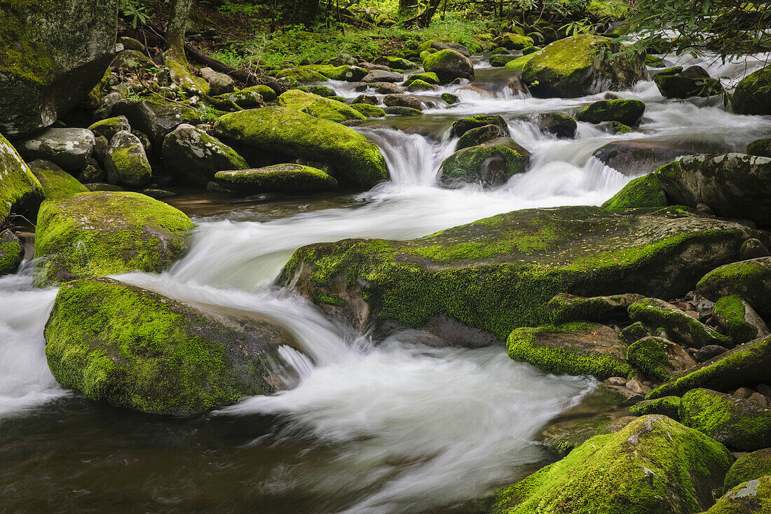 Kaskadenförmiger Gebirgsbach, Great-Smoky-Mountains-Nationalpark, Tennessee, North Carolina