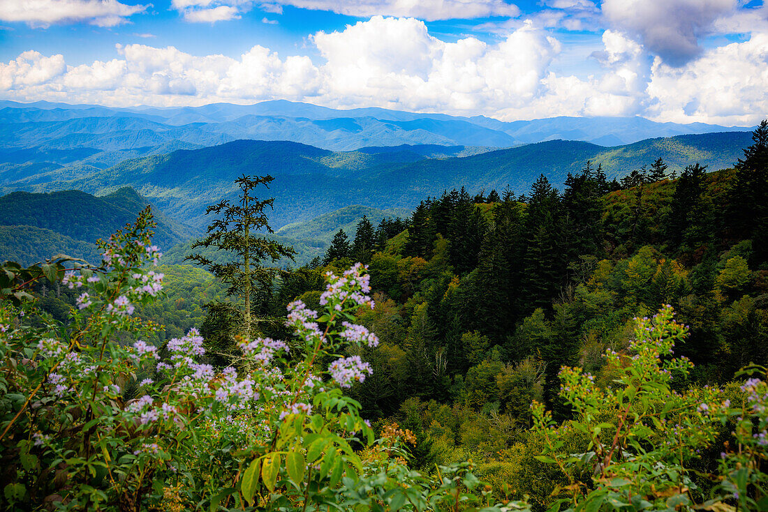 Blick auf den Blue Ridge Parkway, Smoky Mountains, USA.