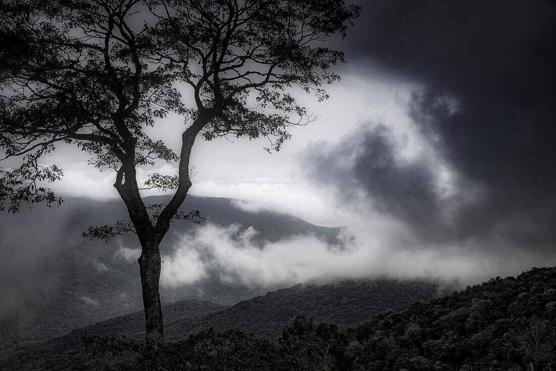 Stilisierte Aussicht, Blue Ridge Parkway, Smoky Mountains, USA.