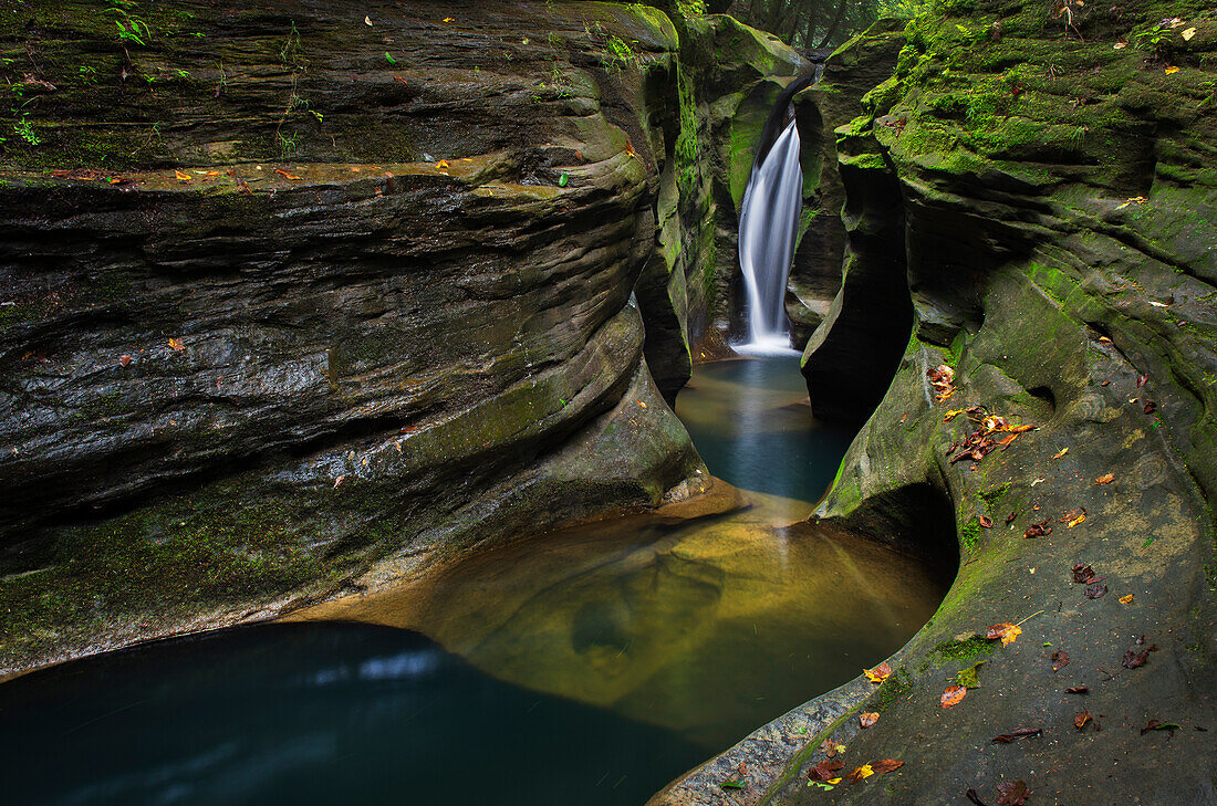 Robinson Falls, auch bekannt als Corkscrew Falls, schlängelt sich durch eine kleine Schlucht aus Black Hand Sandstone. Boch Hollow State Nature Preserve. Hocking Hills, Ohio