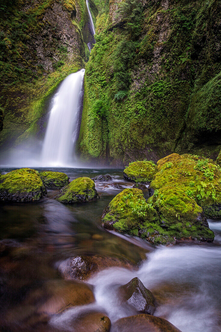 Wahclella Falls entlang des Tanner Creek, Columbia River Gorge, Oregon