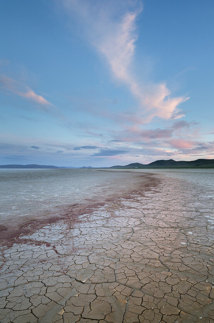 Geometric patterns in drying mud, Alvord Lake, a seasonal shallow alkali lake in Harney County, Oregon