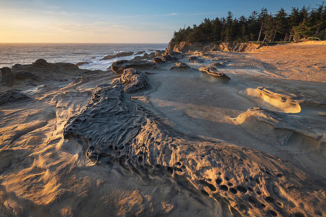 Erodierte Sandsteinkonkretionen und Formationen im Shore Acres State Park, Oregon.