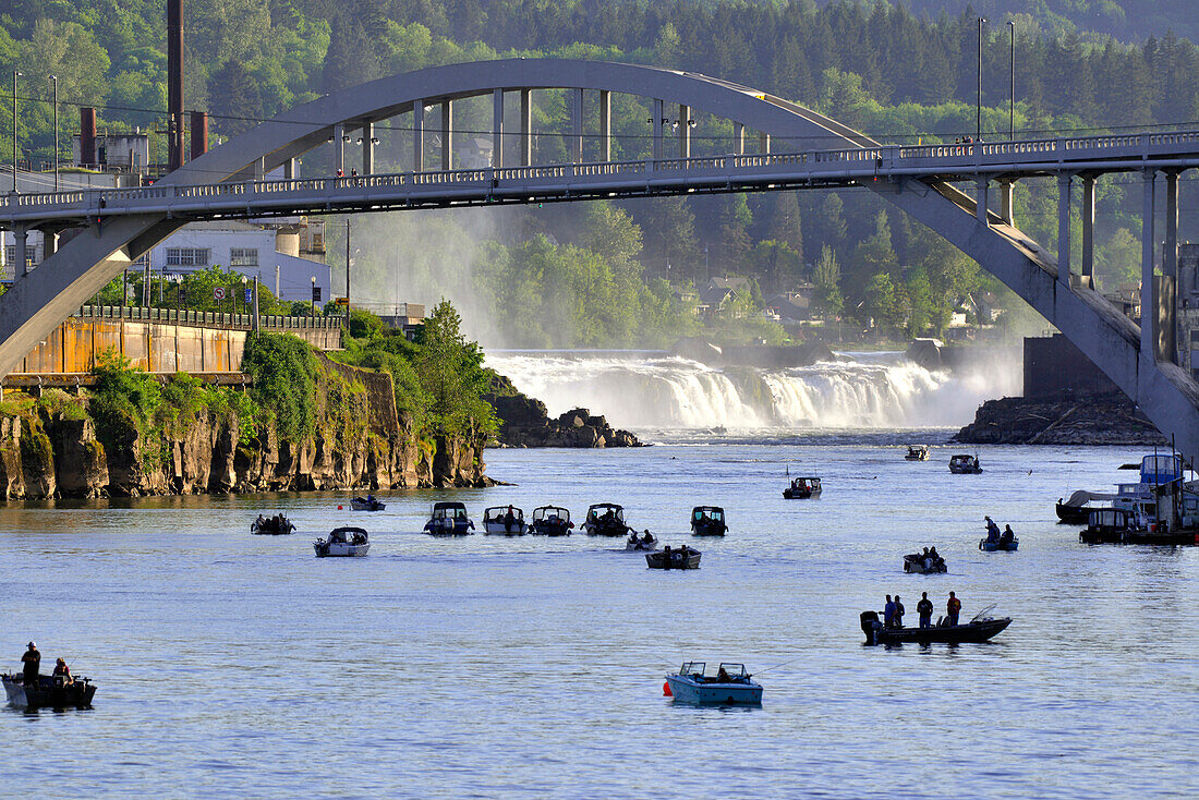 USA, Oregon, Portland. Lachsfischen im Willamette River