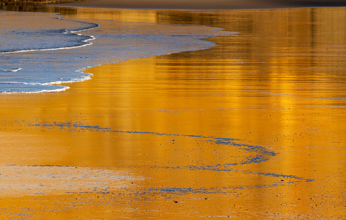 Reflective wet sand at sunrise, Cape Kiwanda in Pacific City, Oregon, USA