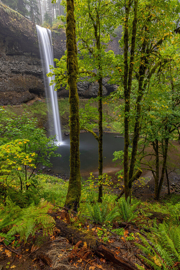 South Falls at Silver Falls State Park near Sublimity, Oregon, USA
