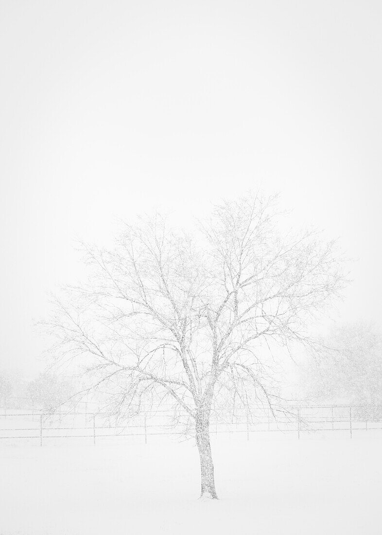 Schneelandschaft in New Mexico