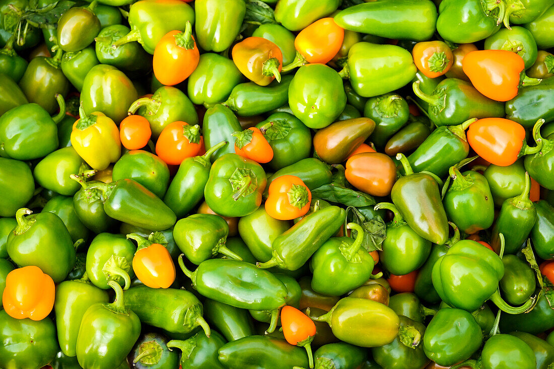 Peppers at a farmers market in the fall, New York City, NY, USA.