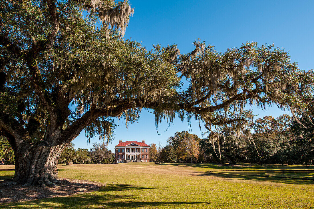 Spanish moss covered tree and the Drayton Hall 18th-century plantation house, Charleston, South Carolina.