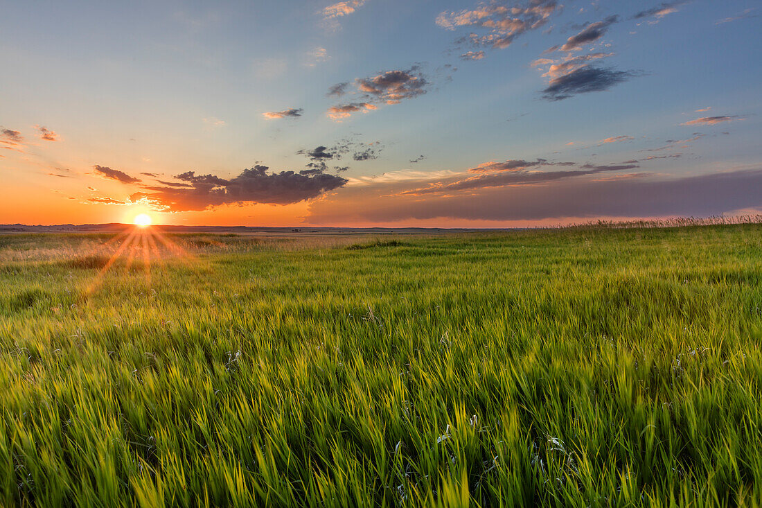 Sunset over prairie grasslands in Badlands National Park, South Dakota, USA (Large format sizes available)