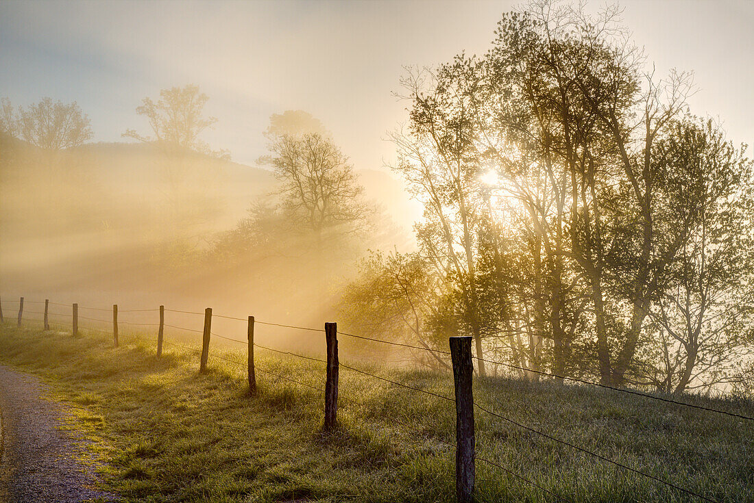 Sonnenstrahlen durch die Bäume bei Sonnenaufgang, Cades Cove, Great Smoky Mountains National Park, Tennessee