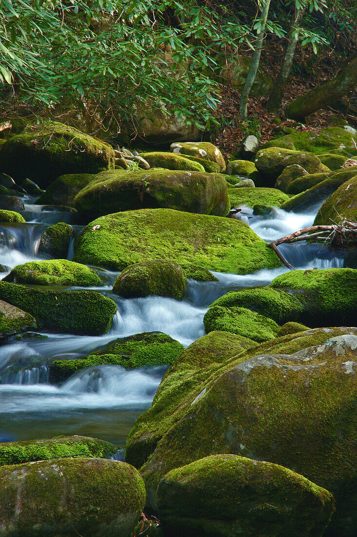 Wasser, das über Felsen fällt, auf dem Roaring Fork Motor Nature Trail