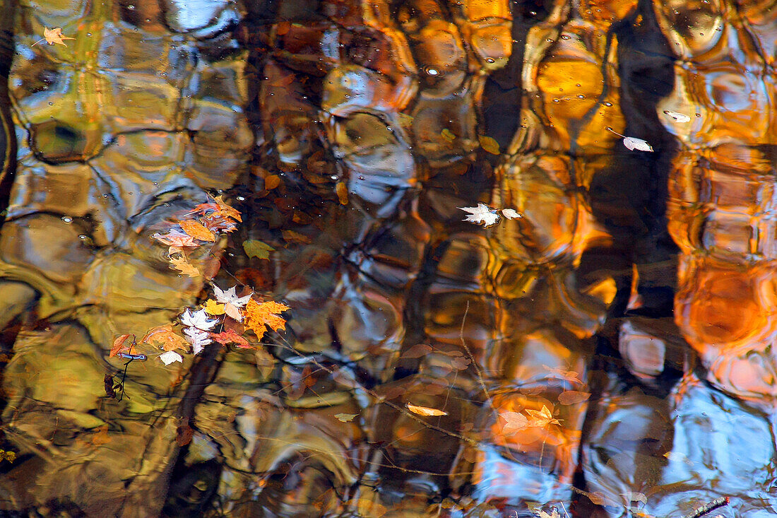 Reflections in Smoky Mountain Creek, Tennessee, USA