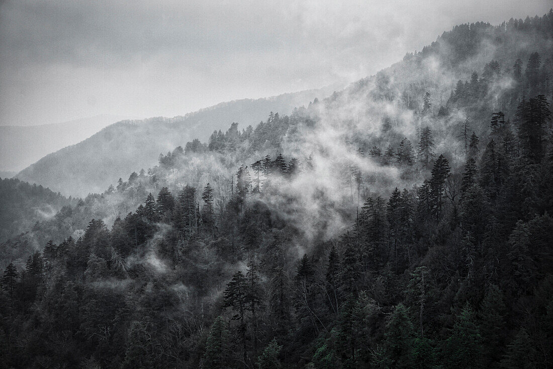 Bergwolken am Newfound Gap, Smoky Mountains National Park, Tennessee, USA