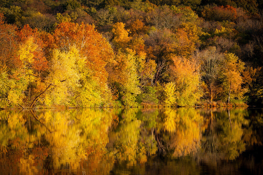 Herbstfärbung am Radnor Lake, Nashville Tennessee, USA