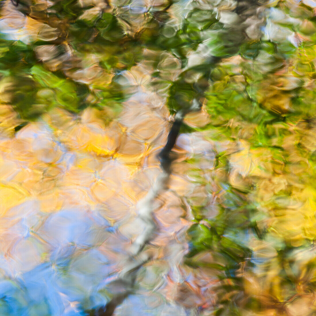 Fall colors reflect in the rippled waters of a pond, looking like a painting.