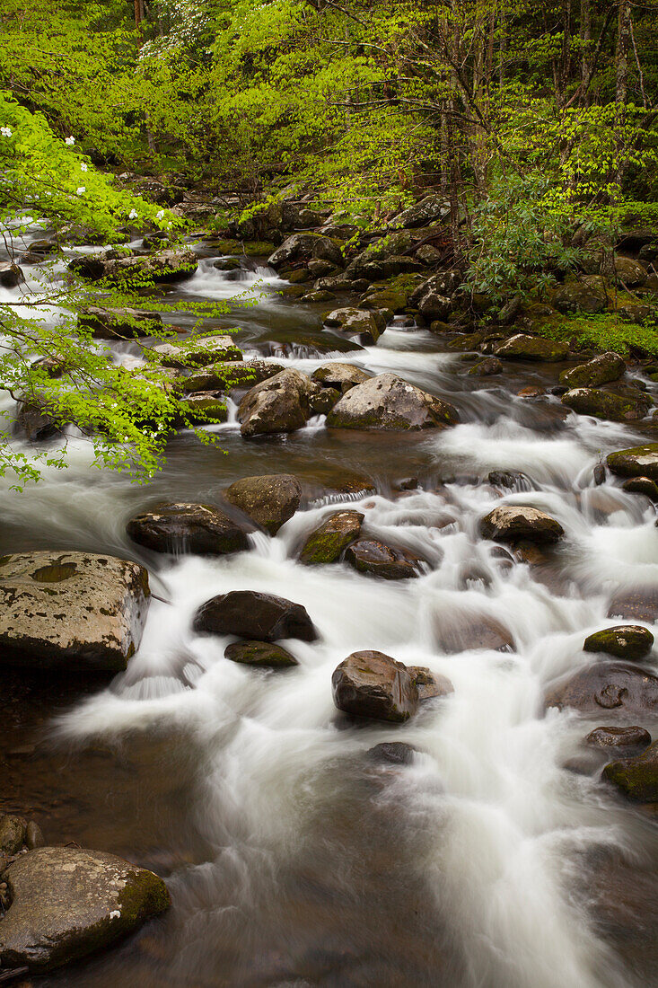 USA, Tennessee, Great-Smoky-Mountain-Nationalpark, Der Little River stürzt bei Tremont über Felsen.