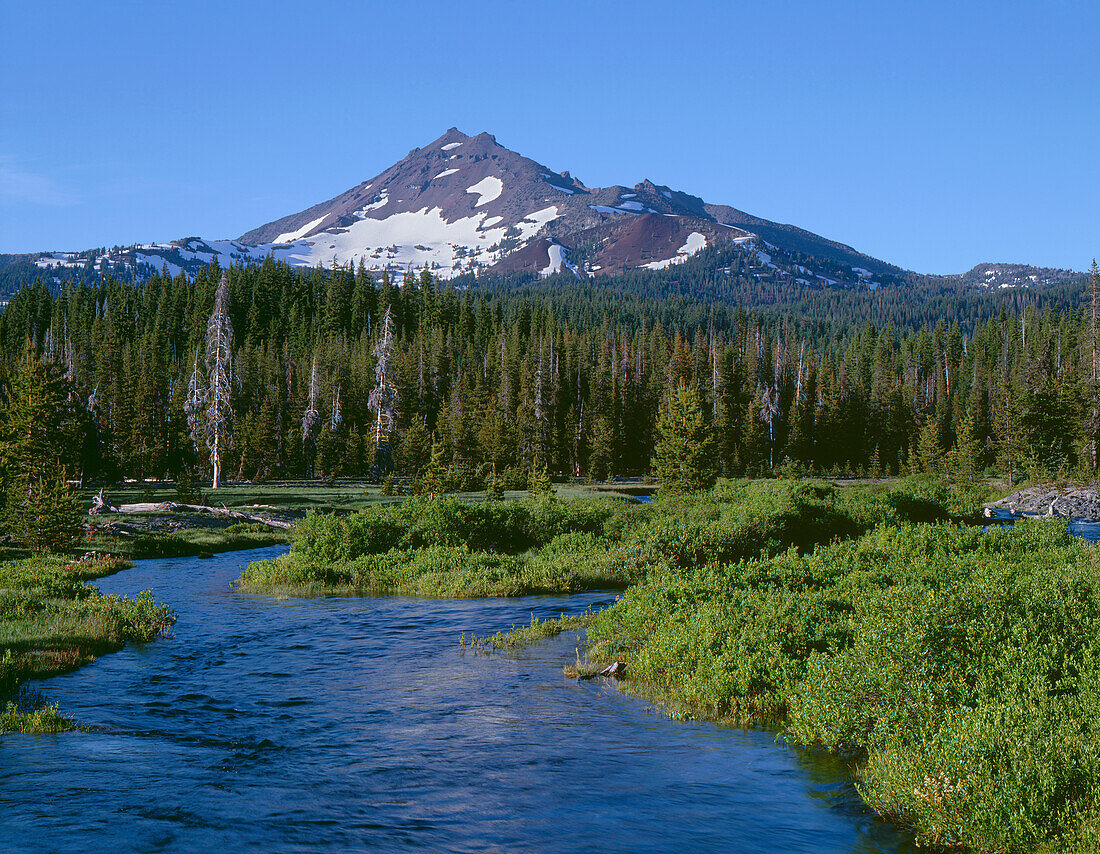 USA, Oregon, Deschutes National Forest, die Südseite des Broken Top erhebt sich über den Nadelwald und den Fall Creek.