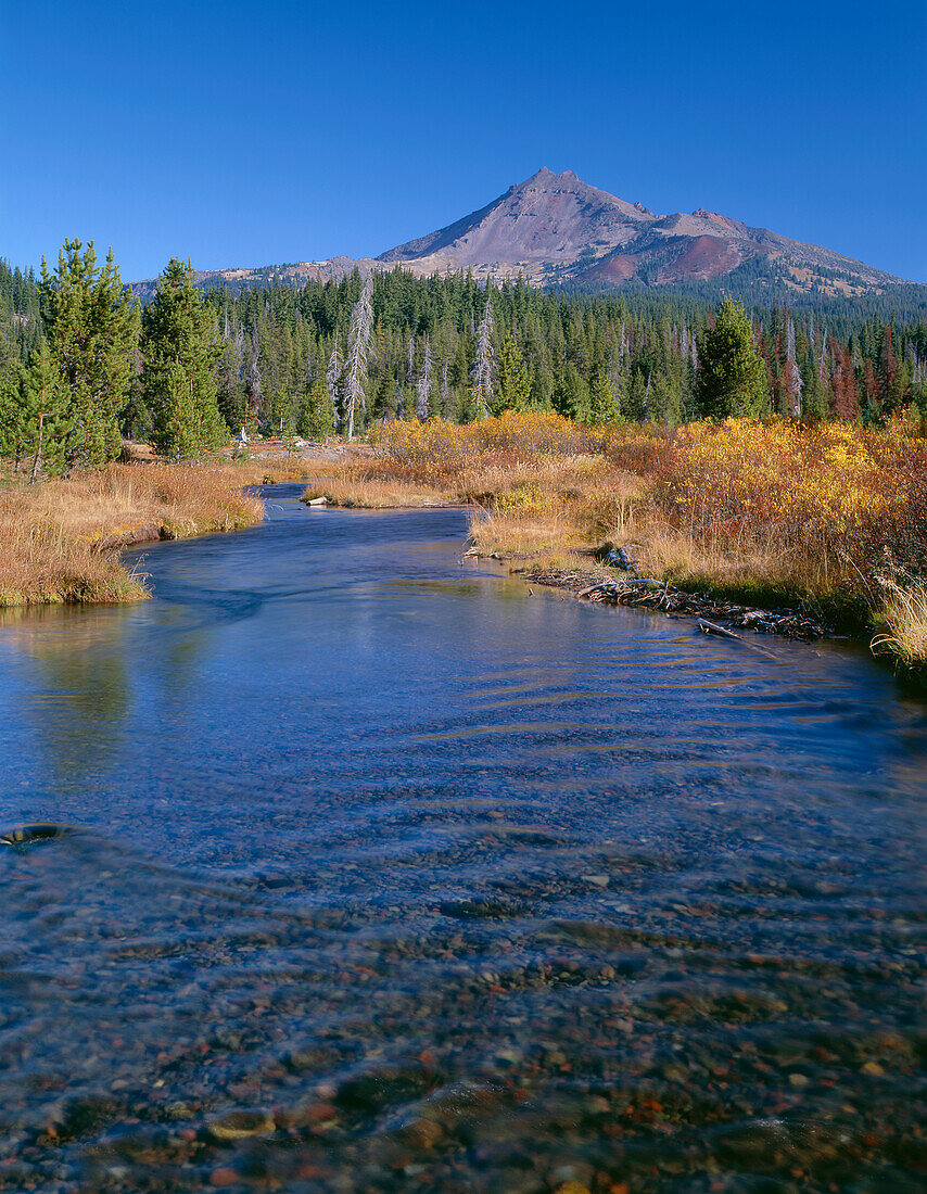 USA, Oregon, Deschutes National Forest, Die Südseite des Broken Top erhebt sich hinter herbstlich gefärbten Weiden und Gräsern am Fall Creek.