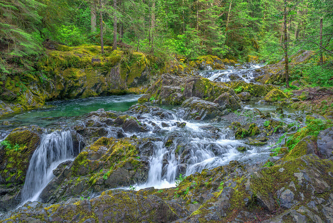 USA, Oregon, Willamette National Forest, Opal Creek Scenic Recreation Area, Mehrere kleine Wasserfälle und ein schnell fließender Opal Creek, umgeben von altem Wald.
