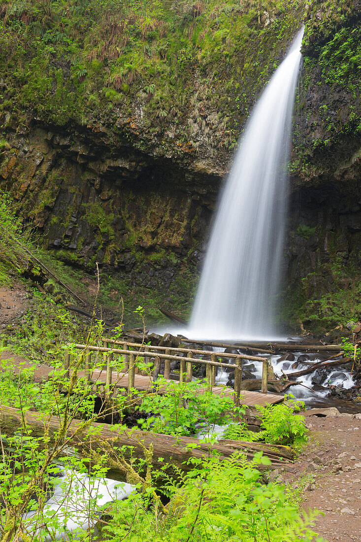 Oregon, Columbia River Gorge National Scenic Area, Upper Latourell Falls