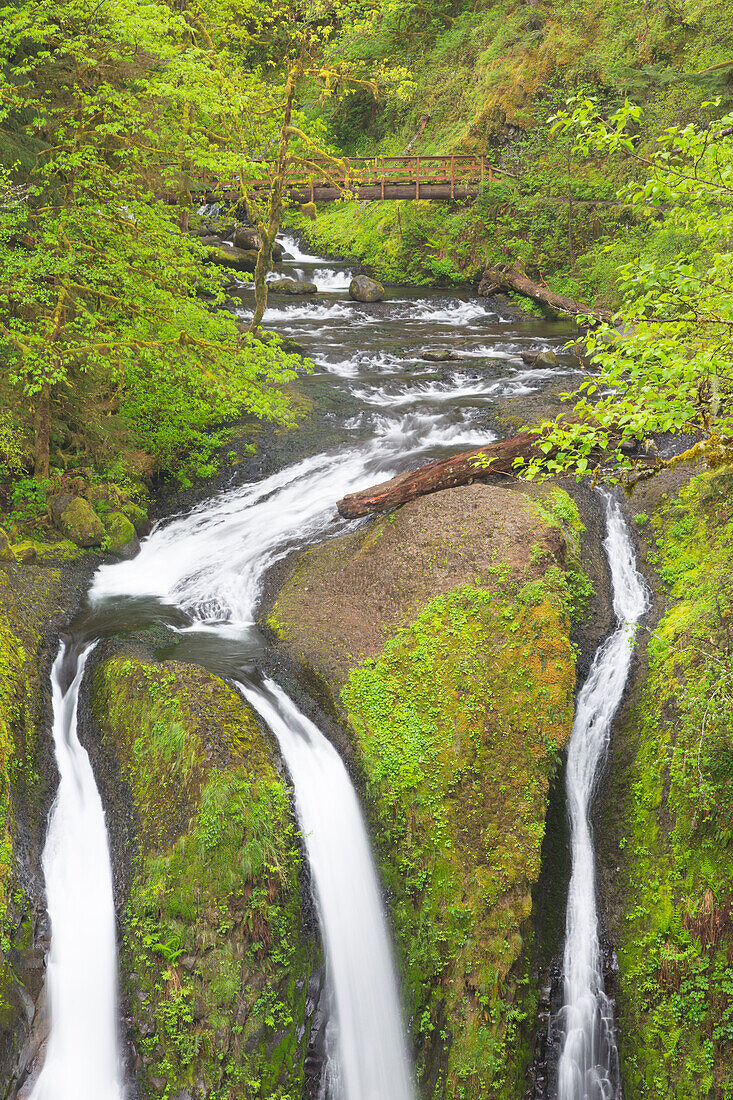 Oregon, Columbia River Gorge National Scenic Area, Triple Falls