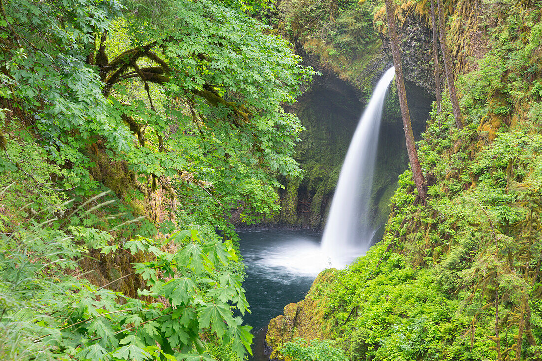 Oregon, Columbia River Gorge National Scenic Area, Metlako Falls