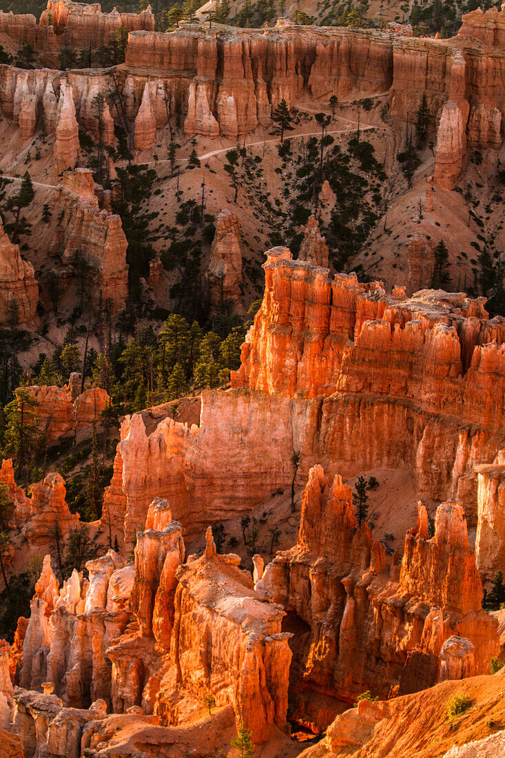 Bryce Canyon-Nationalpark, Utah. Zickzackförmige Hoodoos-Säulen und Tannen im Canyon