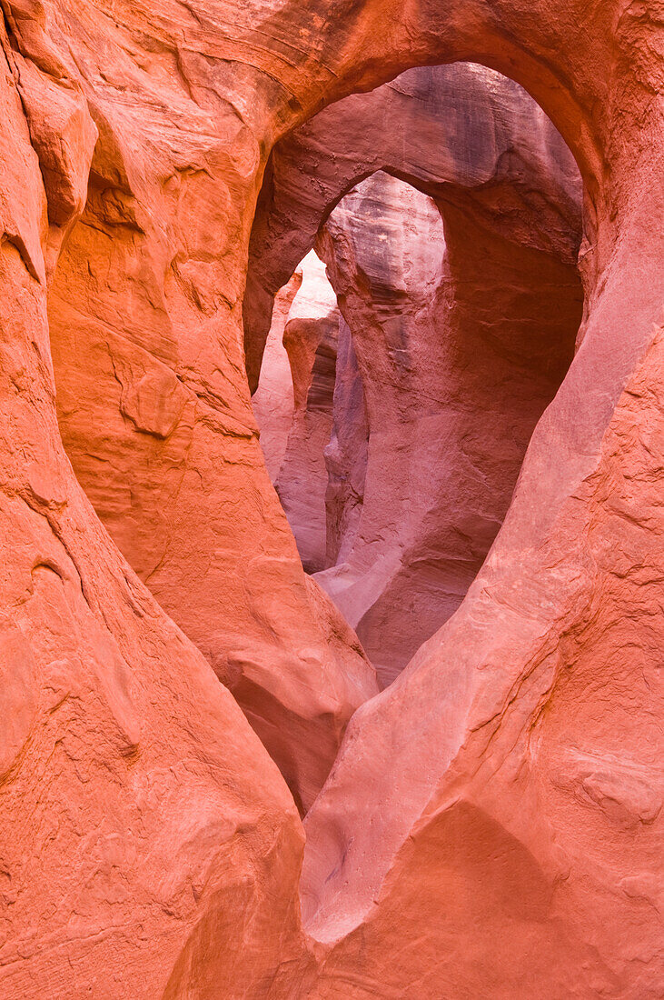 Sandstone formations in Peek-a-boo Gulch, Grand Staircase-Escalante National Monument, Utah, USA