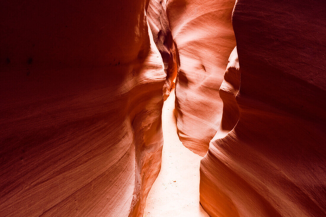 Slot canyon in Spooky Gulch, Grand Staircase-Escalante National Monument, Utah, USA