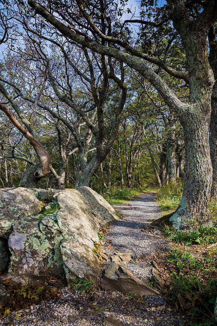 Path, Shenandoah, Blue Ridge Parkway, Smoky Mountains, USA.