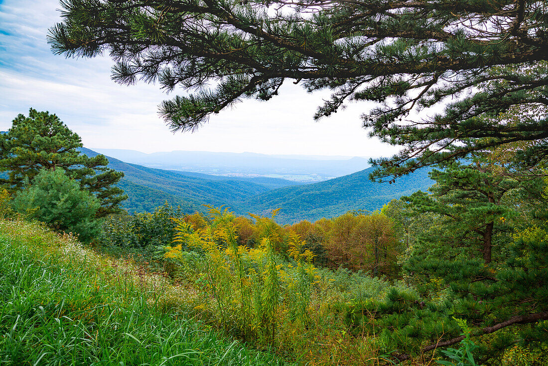 Vista, Shenandoah, Blue Ridge Parkway, Smoky Mountains, USA.