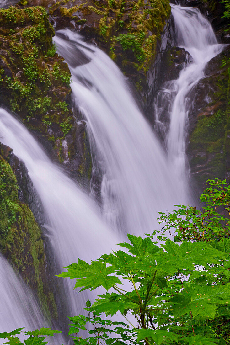 Sol Duc River and Falls, Olympic National Park, Washington State