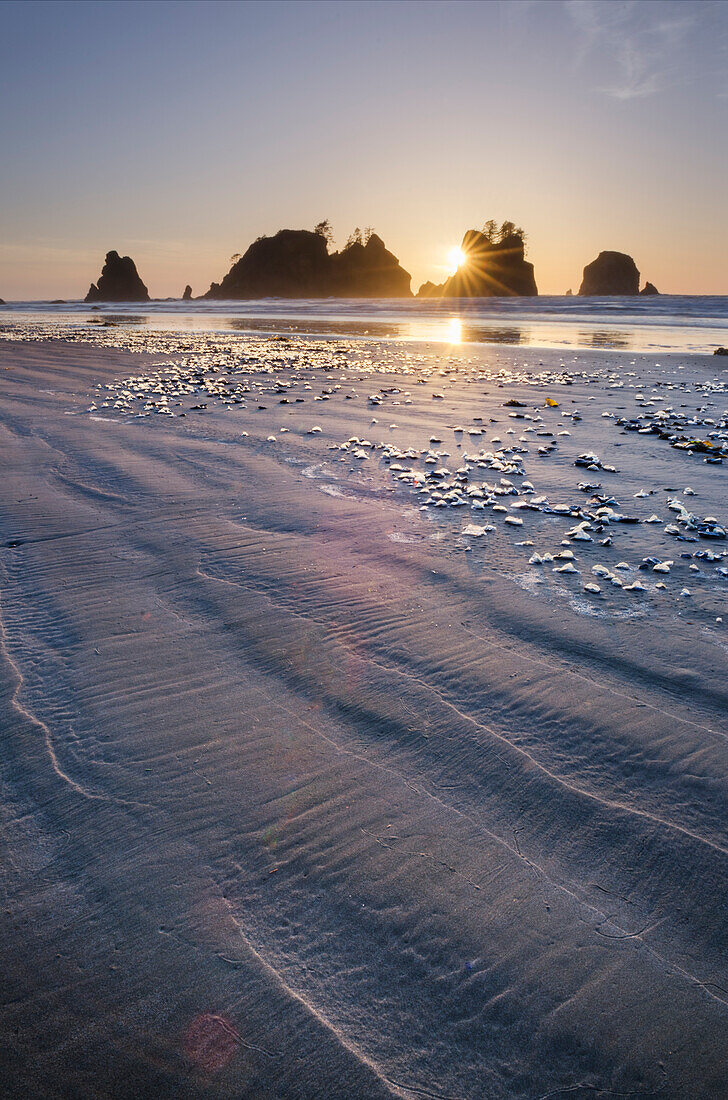 Sunset on Shi Shi Beach, sea stacks of Point of the Arches are in the distance. Olympic National Park, Washington State.