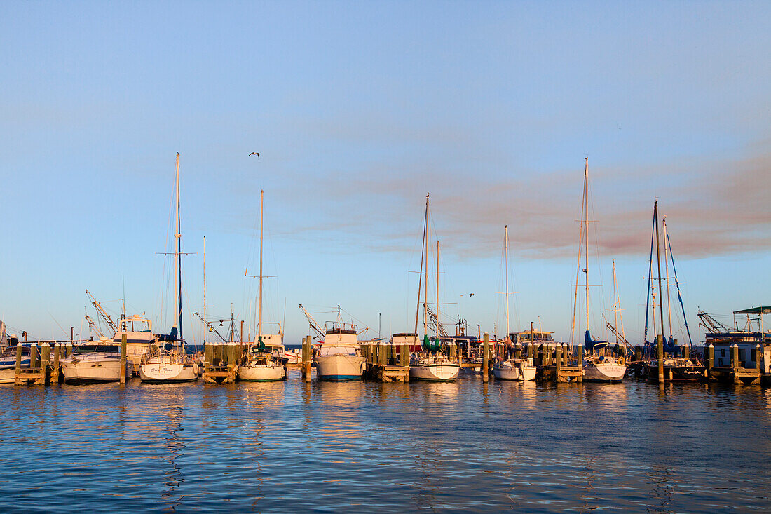 Fulton Harbor and recreational boats