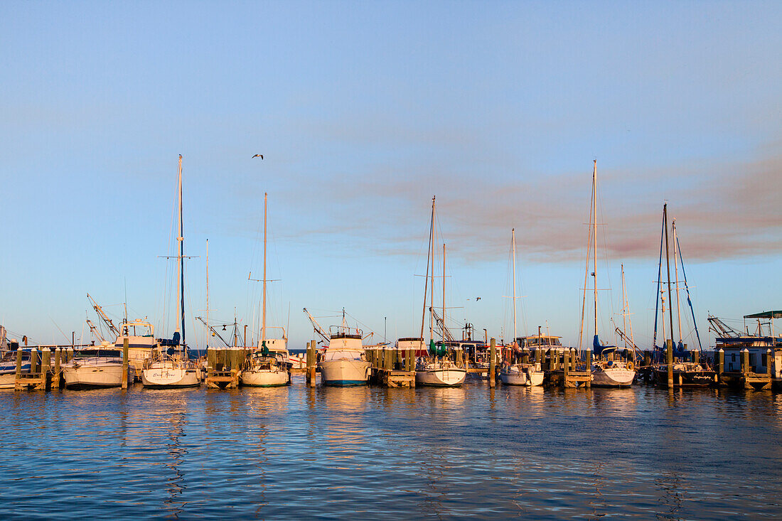 Fulton Harbor und Sportboote