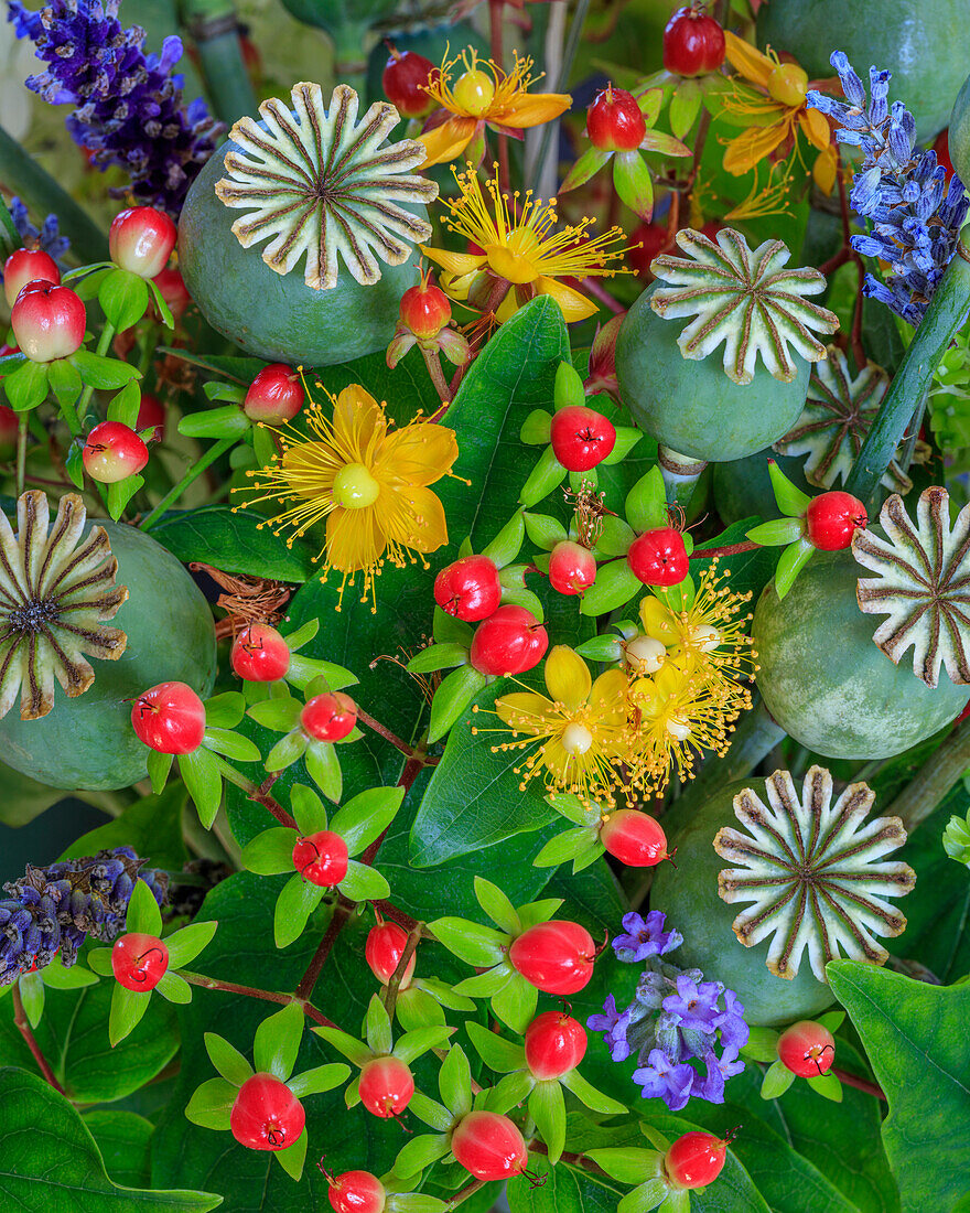 USA, Bundesstaat Washington, Seabeck. Buntes Blumenarrangement.