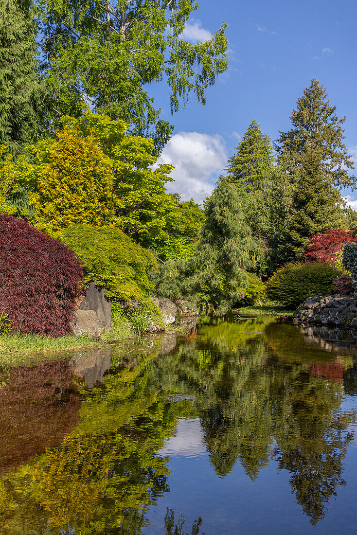 USA, Washington State, Brinnon. Whitney Garden and Nursery landscape reflects in pond.