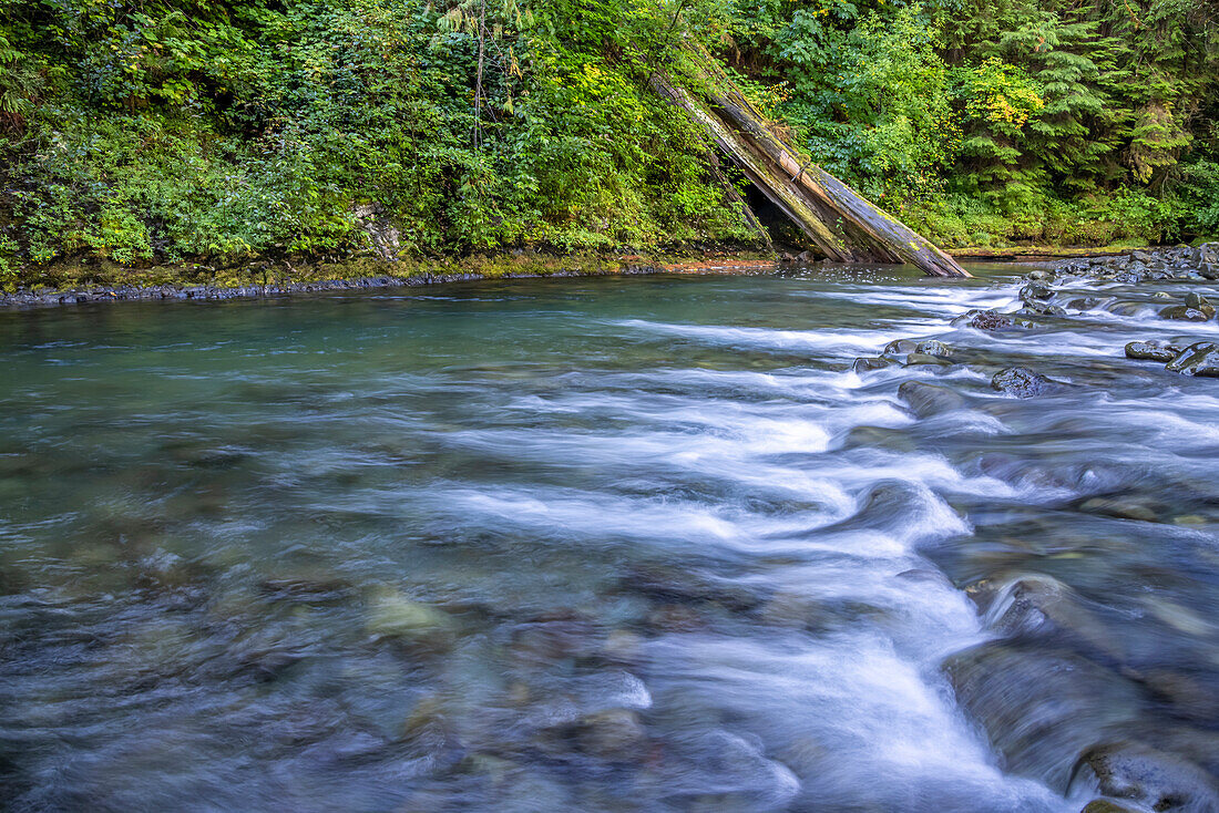 USA, Bundesstaat Washington, Olympic National Forest. Stromschnellen des Duckabush River.