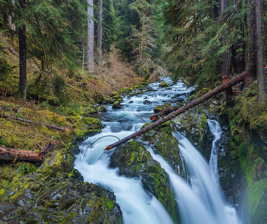 Sol Duc Falls in Olympic National Park, Washington State, USA