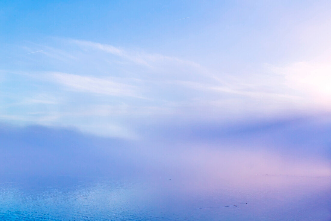 USA, Washington State, Seabeck. Foggy sunrise over Hood Canal