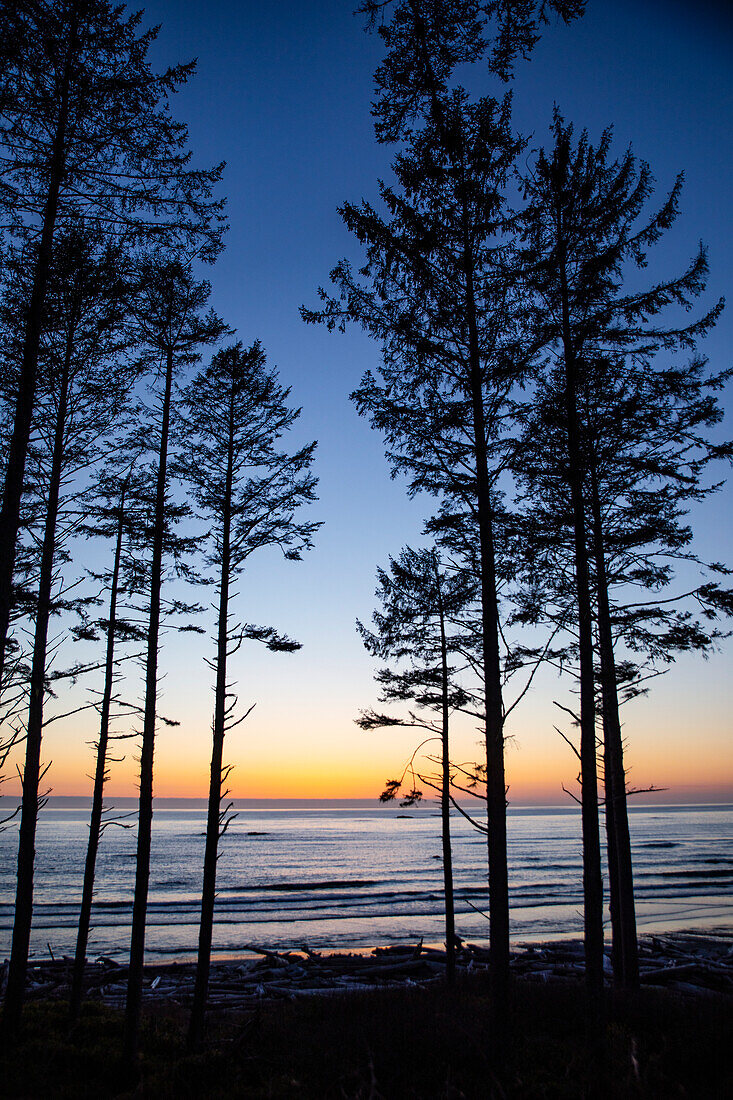 Ruby Beach, Forks, Bundesstaat Washington, USA. Olympic-Nationalpark