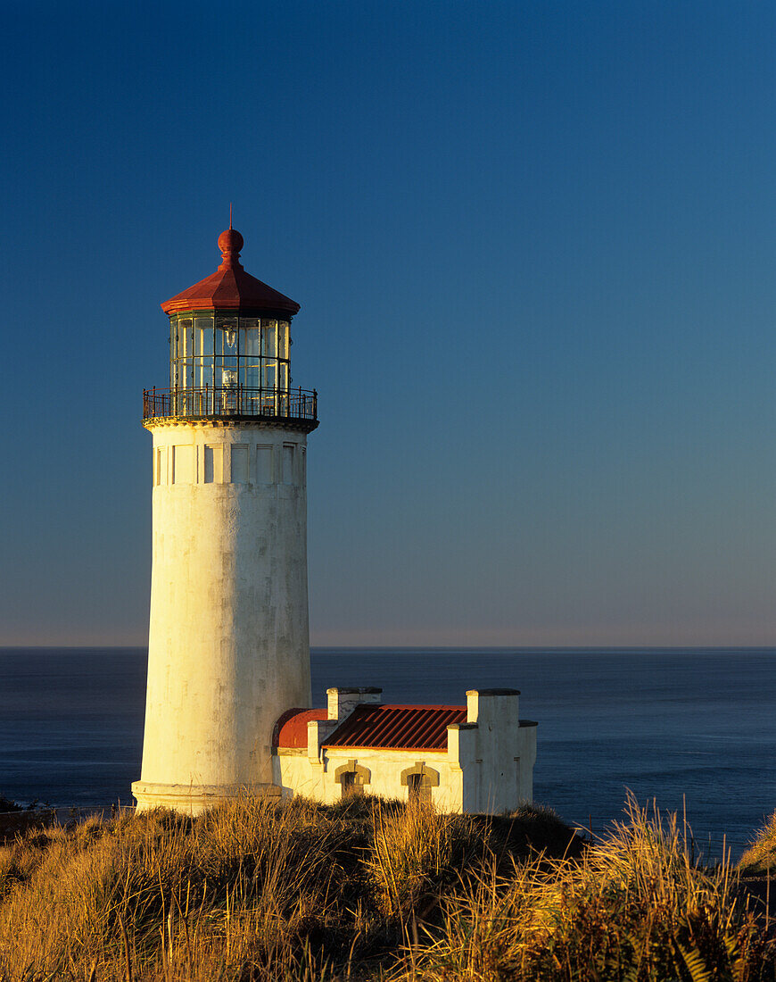 WA, Cape Disappointment State Park, North Head Lighthouse, errichtet 1898 (Großformat verfügbar)