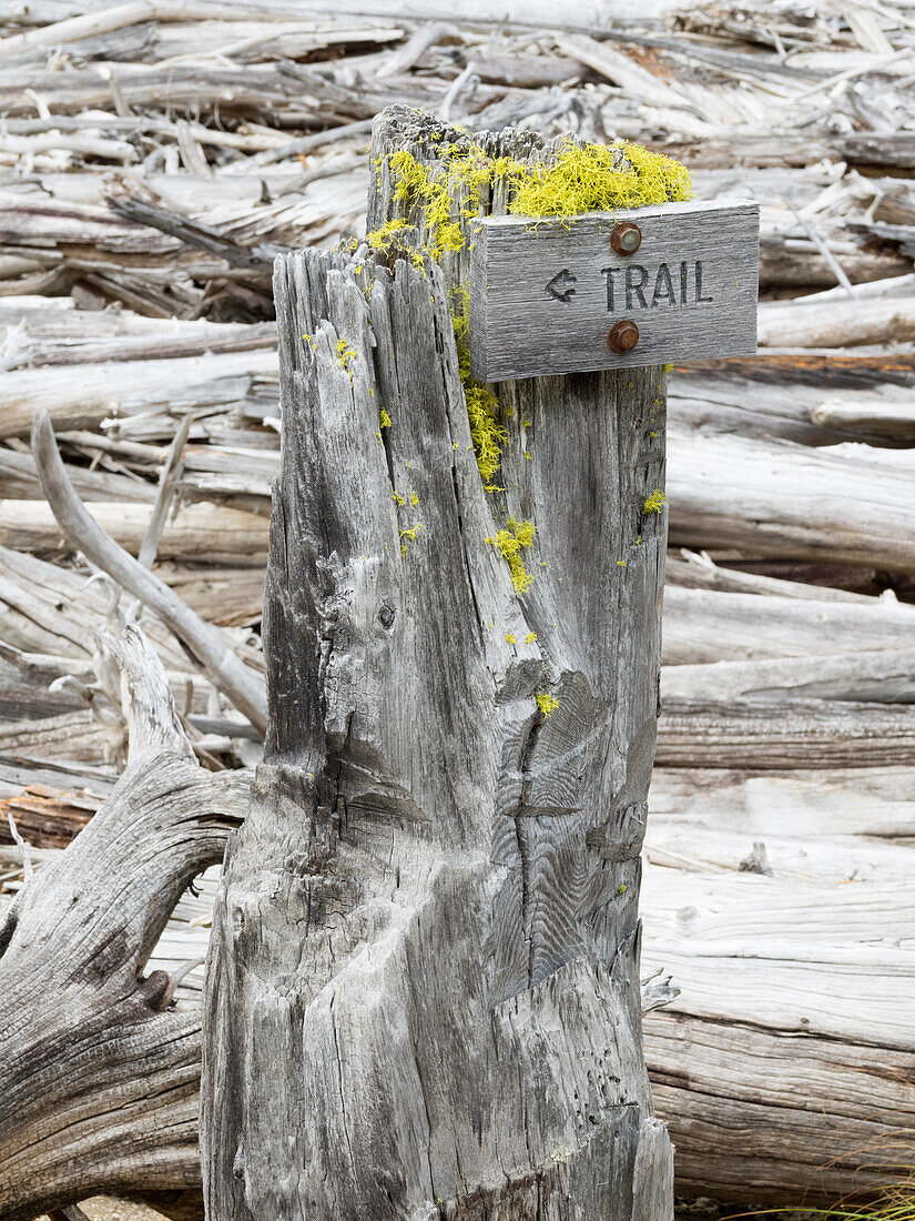 Washington State, Alpine Lakes Wilderness. Trail sign