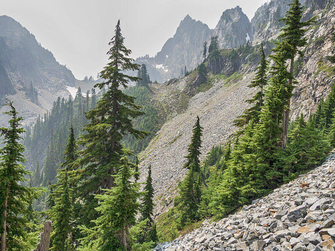 Bundesstaat Washington, Alpine Lakes Wilderness. Langlaufloipe, Blick Richtung Melakwa Pass