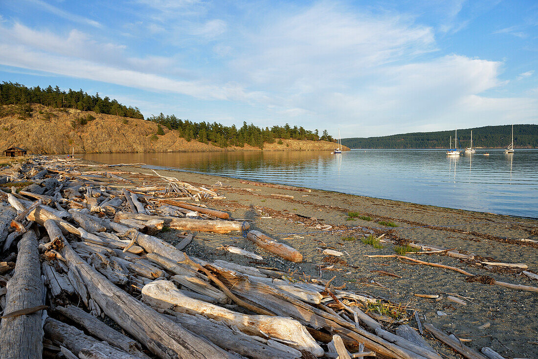 USA, Washington State, San Juan Islands, Lopez Island, Treibholzstämme am Kiesstrand von Spencer Spit