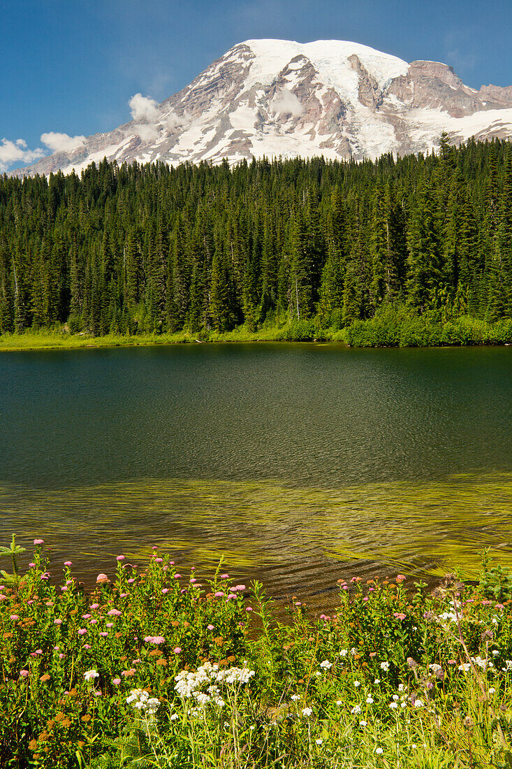 Mount Rainier and Reflection Lake, Mount Rainier National Park, Washington State, USA