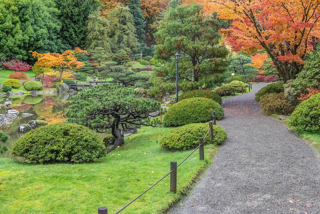 Bundesstaat Washington, Seattle. Herbstfärbung, Japanischer Garten